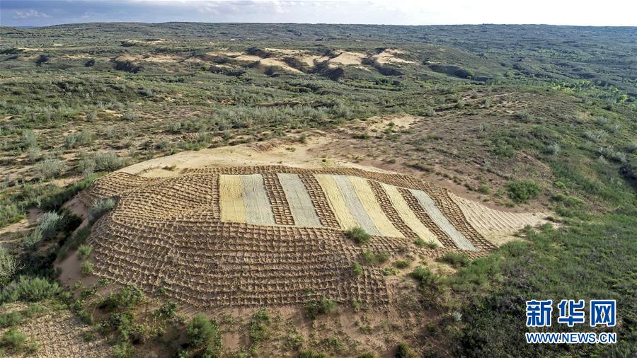 （壯麗70年·奮斗新時(shí)代——共和國(guó)發(fā)展成就巡禮·圖文互動(dòng)）（6）生態(tài)美、百姓富——品讀嶄新“寧夏畫(huà)卷”