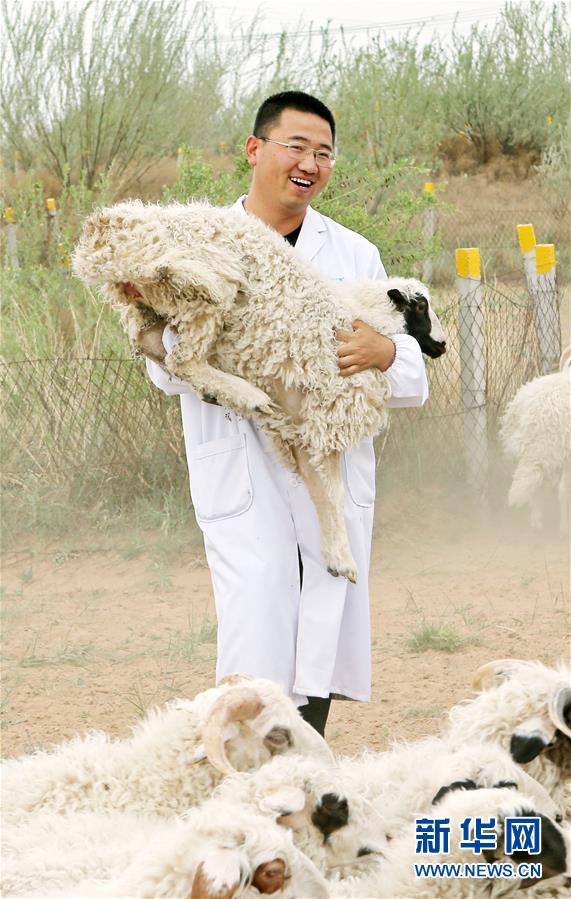 （壯麗70年·奮斗新時(shí)代——共和國(guó)發(fā)展成就巡禮·圖文互動(dòng)）（3）生態(tài)美、百姓富——品讀嶄新“寧夏畫(huà)卷”