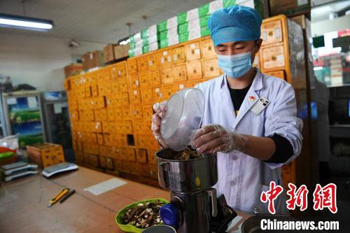疫情發(fā)生以來，甘肅確保所有病例盡早、及時、全程使用中醫(yī)中藥，努力做到“一患一方案”。(資料圖) 楊艷敏 攝