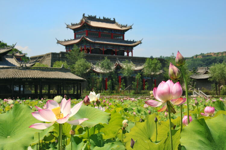 【云游渭南】心中若有桃花源，此處便是水云間！待疫情散盡，一起來渭南桃花源賞美景、觀民俗、享美食_fororder_2